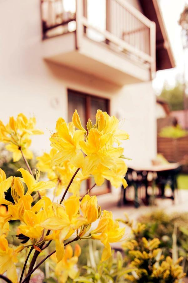 Urlop Przy Wydmach Apartment Miedzywodzie Luaran gambar