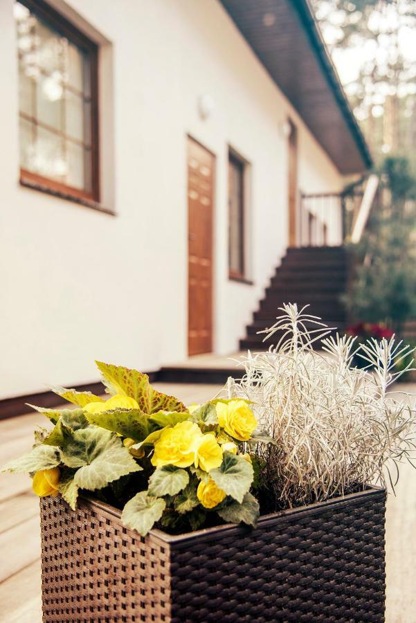 Urlop Przy Wydmach Apartment Miedzywodzie Luaran gambar