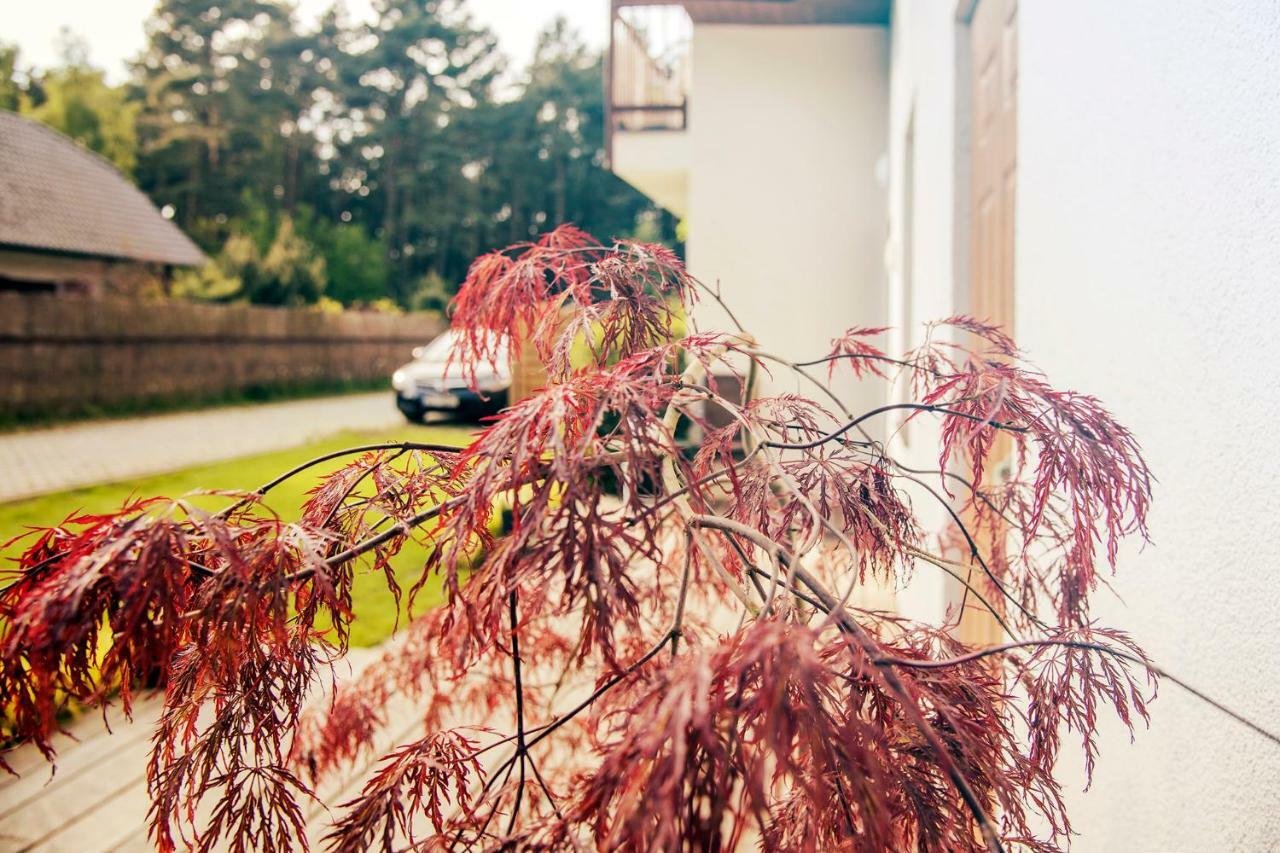Urlop Przy Wydmach Apartment Miedzywodzie Luaran gambar
